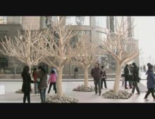 <h3>Greenpeace</h3><br/>Disposable Forest
